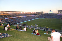 Pup on Pitch Berm