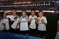 0404026_LAGalaxyvsMinnesota_GA_00766
