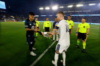 0404026_LAGalaxyvsMinnesota_GA_00887