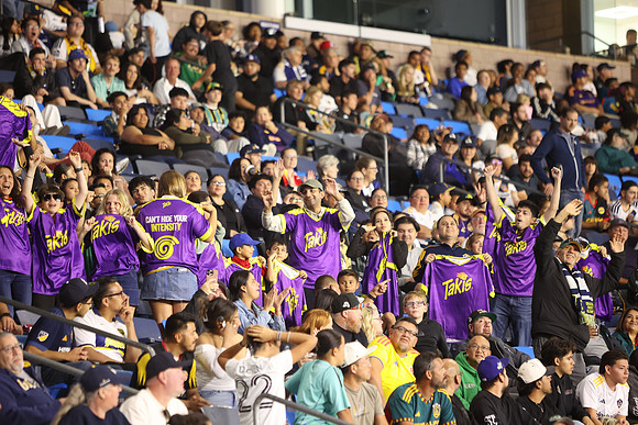 0404026_LAGalaxyvsMinnesota_GA_08833