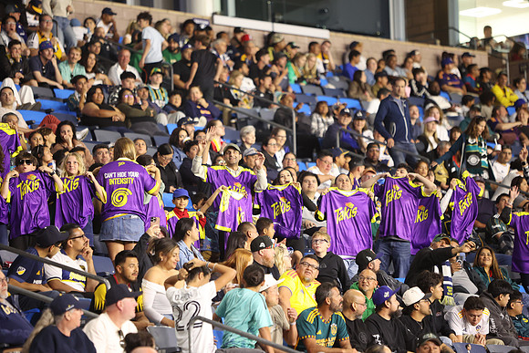0404026_LAGalaxyvsMinnesota_GA_08826