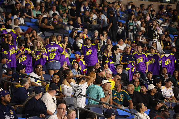0404026_LAGalaxyvsMinnesota_GA_08808