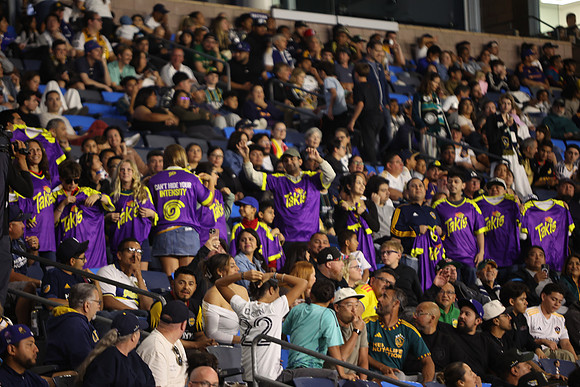0404026_LAGalaxyvsMinnesota_GA_08809