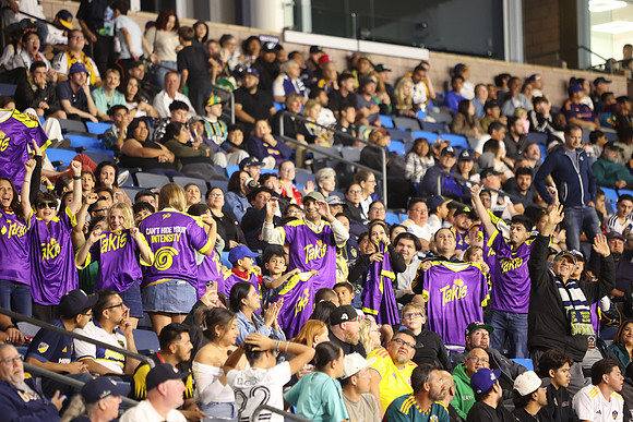 0404026_LAGalaxyvsMinnesota_GA_08836