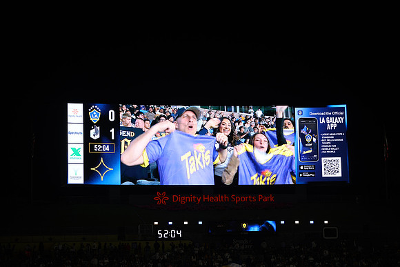 0404026_LAGalaxyvsMinnesota_GA_08857