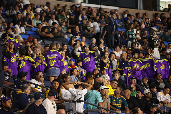 0404026_LAGalaxyvsMinnesota_GA_08811