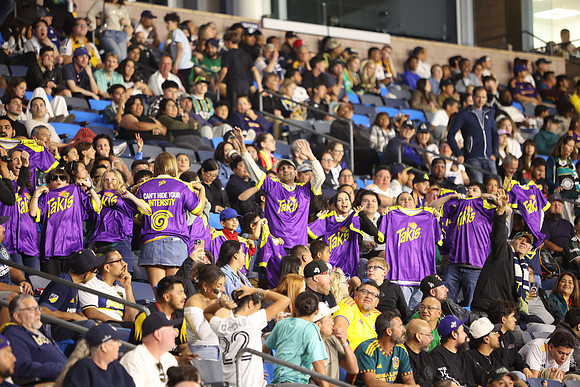 0404026_LAGalaxyvsMinnesota_GA_08829