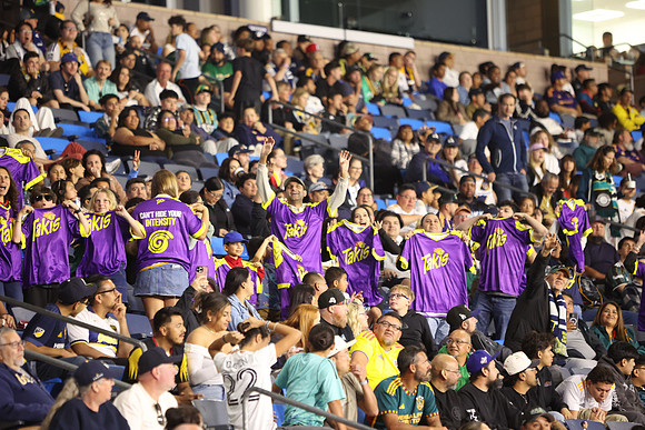 0404026_LAGalaxyvsMinnesota_GA_08828