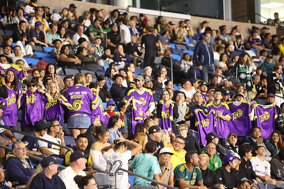0404026_LAGalaxyvsMinnesota_GA_08816
