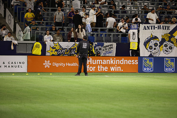 0404026_LAGalaxyvsMinnesota_GA_08748