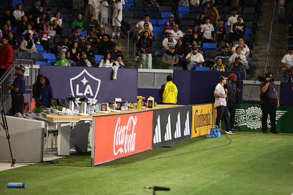 0404026_LAGalaxyvsMinnesota_GA_08770