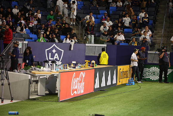 0404026_LAGalaxyvsMinnesota_GA_08771