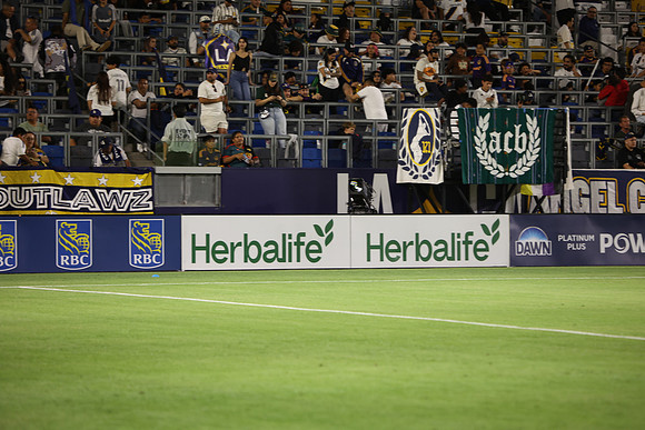0404026_LAGalaxyvsMinnesota_GA_08754