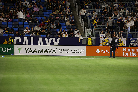 0404026_LAGalaxyvsMinnesota_GA_08783