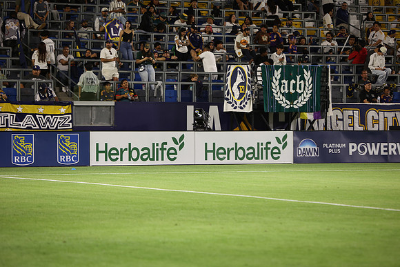 0404026_LAGalaxyvsMinnesota_GA_08755