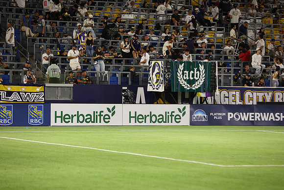 0404026_LAGalaxyvsMinnesota_GA_08794