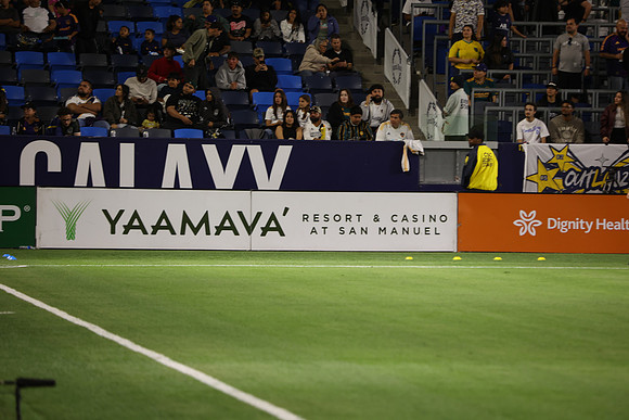 0404026_LAGalaxyvsMinnesota_GA_08746