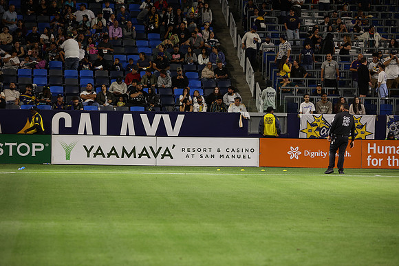 0404026_LAGalaxyvsMinnesota_GA_08784