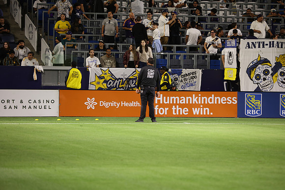 0404026_LAGalaxyvsMinnesota_GA_08747