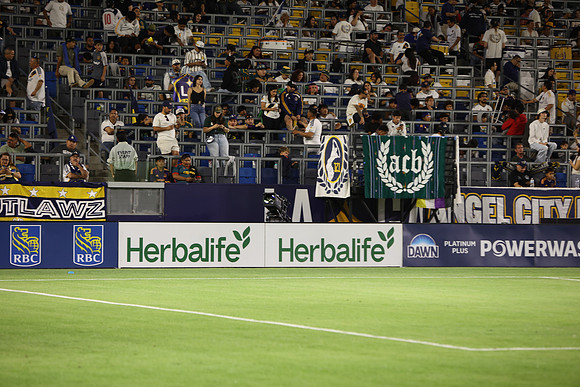 0404026_LAGalaxyvsMinnesota_GA_08793