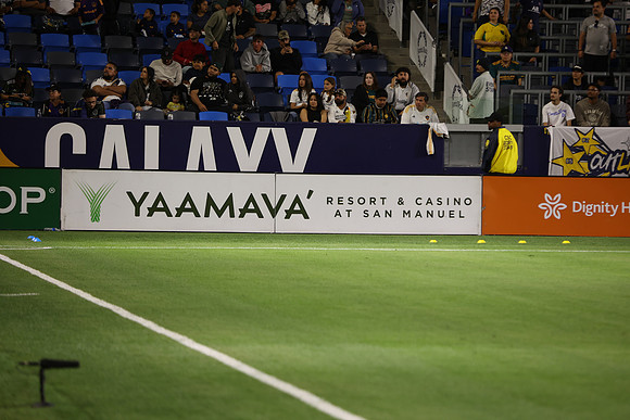 0404026_LAGalaxyvsMinnesota_GA_08744