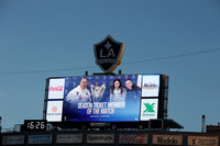 0404026_LAGalaxyvsMinnesota_GA_08035