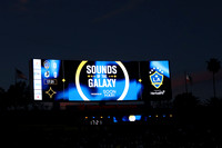 0404026_LAGalaxyvsMinnesota_GA_07730