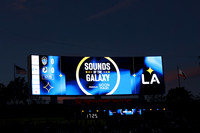0404026_LAGalaxyvsMinnesota_GA_07718