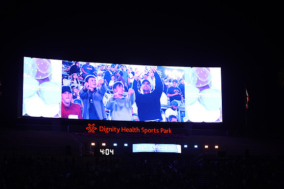 0404026_LAGalaxyvsMinnesota_GA_07888