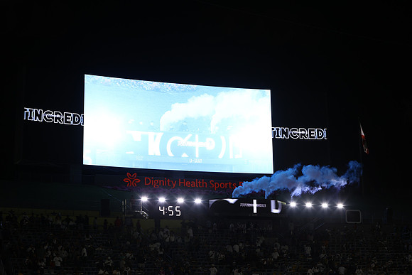 0404026_LAGalaxyvsMinnesota_GA_07862