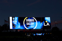0404026_LAGalaxyvsMinnesota_GA_07719