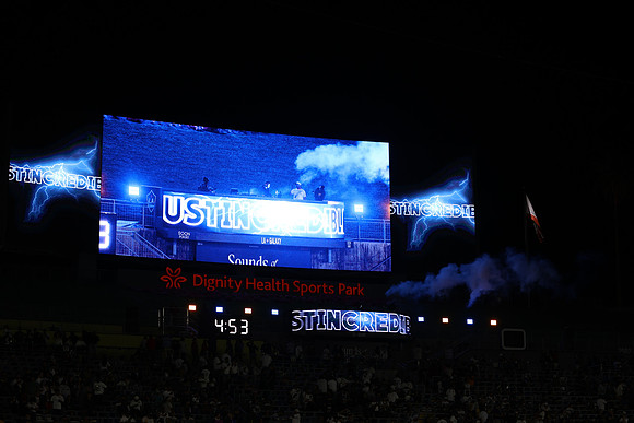 0404026_LAGalaxyvsMinnesota_GA_07874