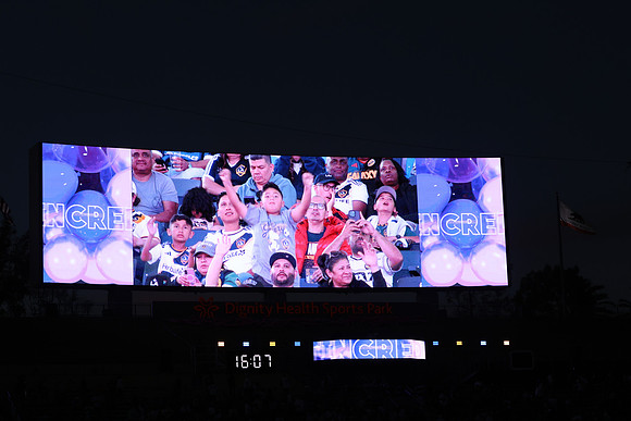 0404026_LAGalaxyvsMinnesota_GA_07848