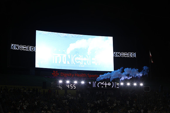 0404026_LAGalaxyvsMinnesota_GA_07861