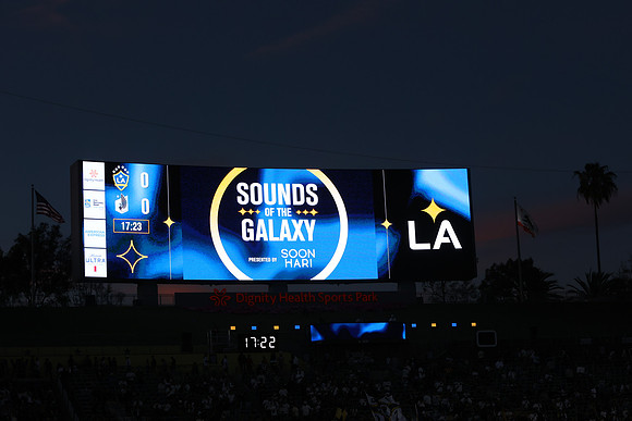 0404026_LAGalaxyvsMinnesota_GA_07726