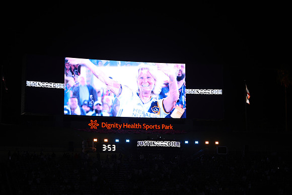 0404026_LAGalaxyvsMinnesota_GA_07939
