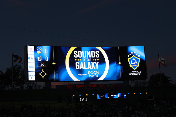0404026_LAGalaxyvsMinnesota_GA_07736