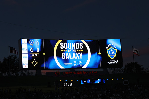 0404026_LAGalaxyvsMinnesota_GA_07735