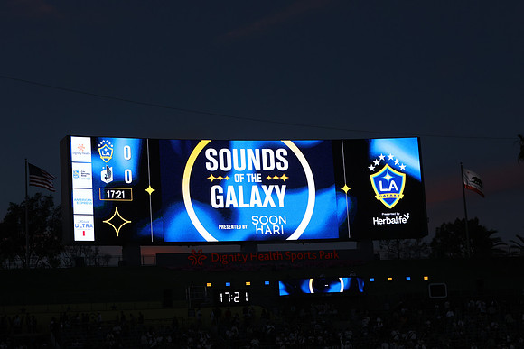 0404026_LAGalaxyvsMinnesota_GA_07734