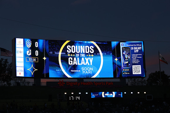 0404026_LAGalaxyvsMinnesota_GA_07747