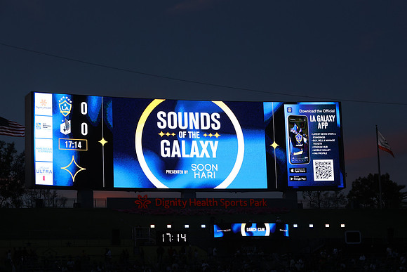 0404026_LAGalaxyvsMinnesota_GA_07745