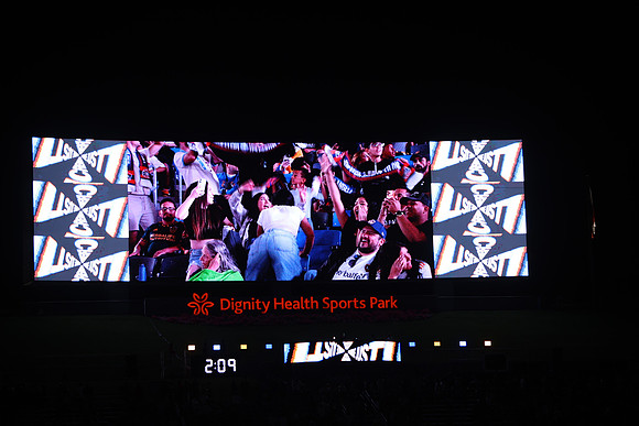 0404026_LAGalaxyvsMinnesota_GA_07972