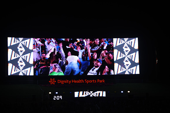 0404026_LAGalaxyvsMinnesota_GA_07973