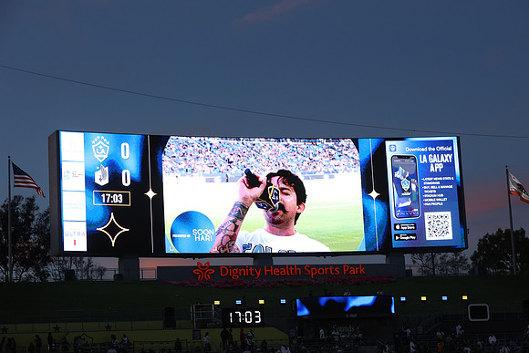 0404026_LAGalaxyvsMinnesota_GA_07756