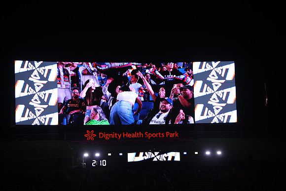 0404026_LAGalaxyvsMinnesota_GA_07971