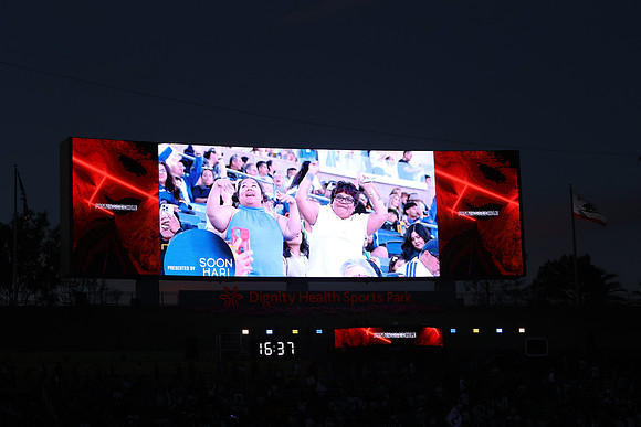 0404026_LAGalaxyvsMinnesota_GA_07810