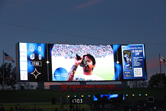 0404026_LAGalaxyvsMinnesota_GA_07757