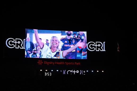 0404026_LAGalaxyvsMinnesota_GA_07941