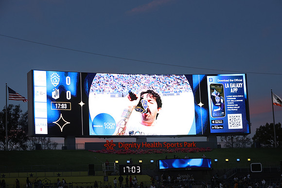 0404026_LAGalaxyvsMinnesota_GA_07759