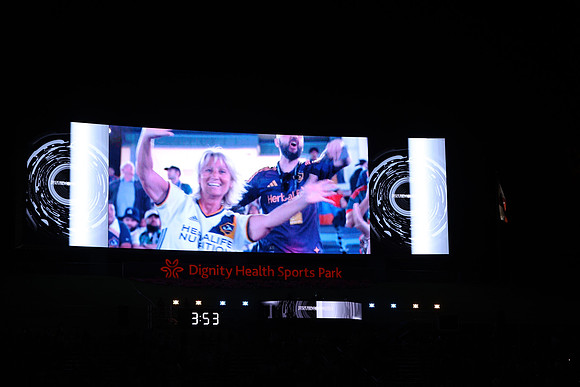 0404026_LAGalaxyvsMinnesota_GA_07942